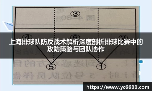 DB旗舰首页