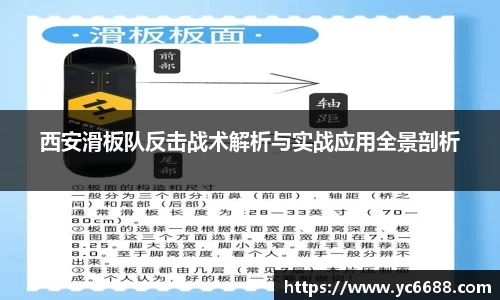 DB旗舰官网